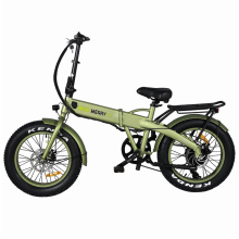 Green Power Battery Mini Folding Electric Bicycle for Europe Market